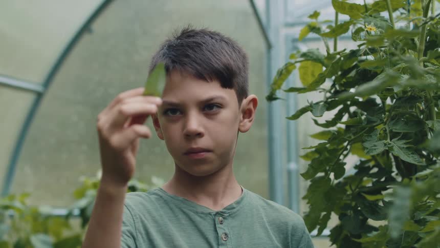 Boy stands in greenhouse near plants examining single leaf