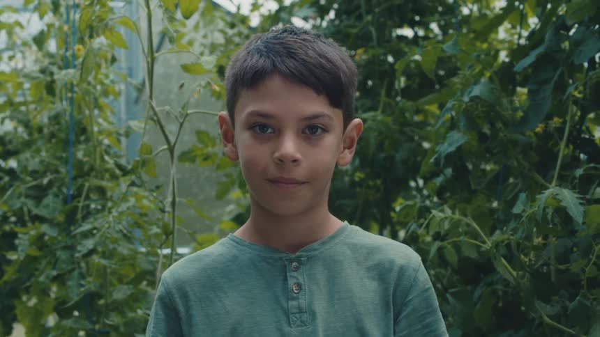 A boy is standing in front of tomato plants