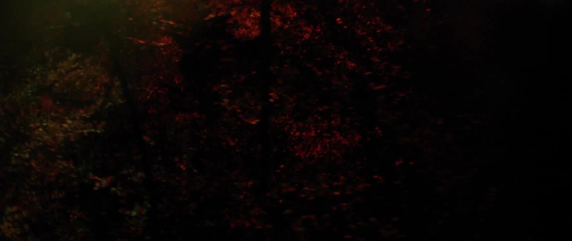 Aerial view of a very dark forest at night