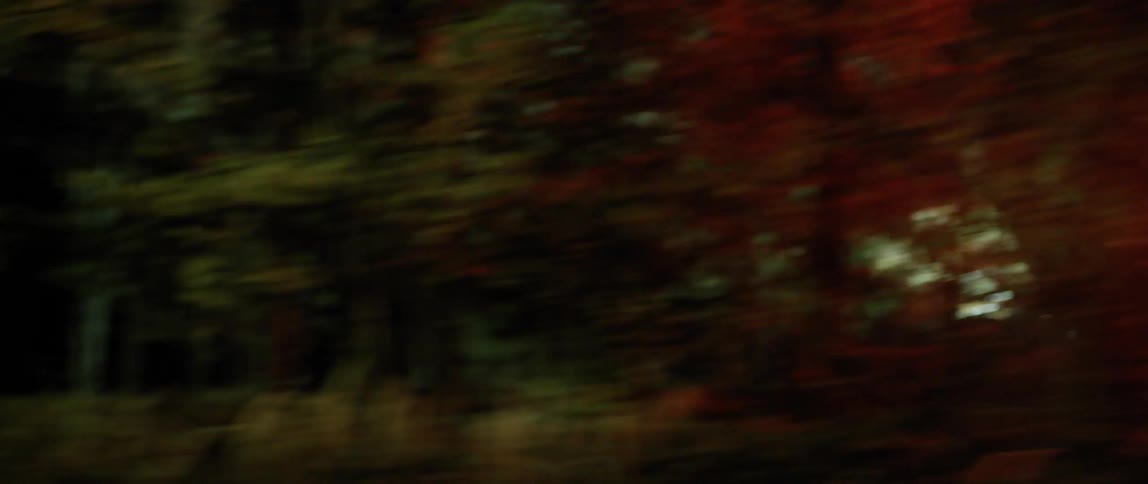 A forest with spotlights flashing behind the trees