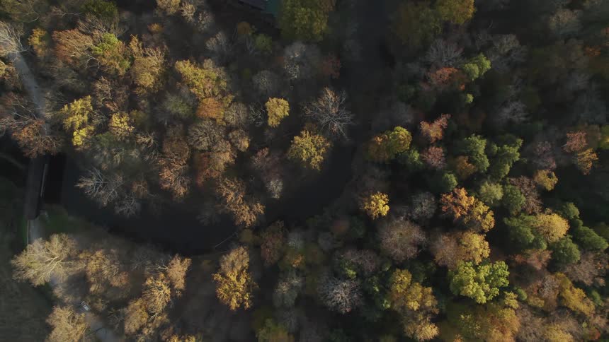Bridge crosses river winding through deciduous forest in the fall