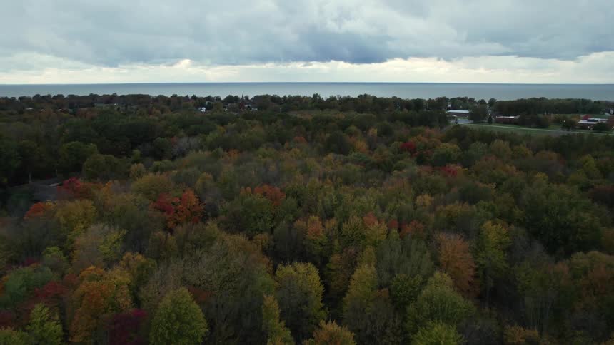 Buildings sit in clearing surrounded by deciduous forest stretching to water on the horizon
