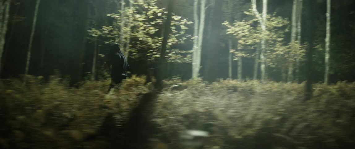 A person is running through a dark forest with a spotlight behind him