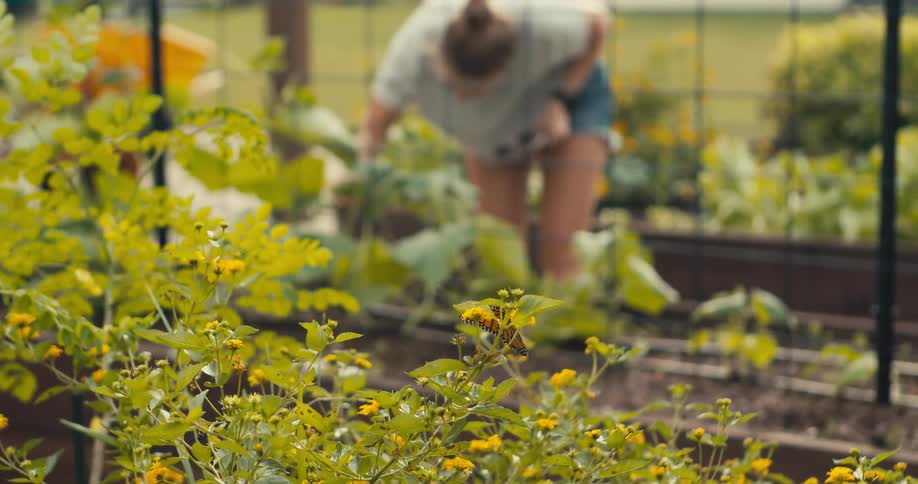 A woman is working in her garden
