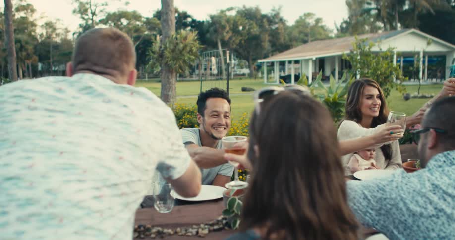 Family and friends toast their drinks during a meal in a park