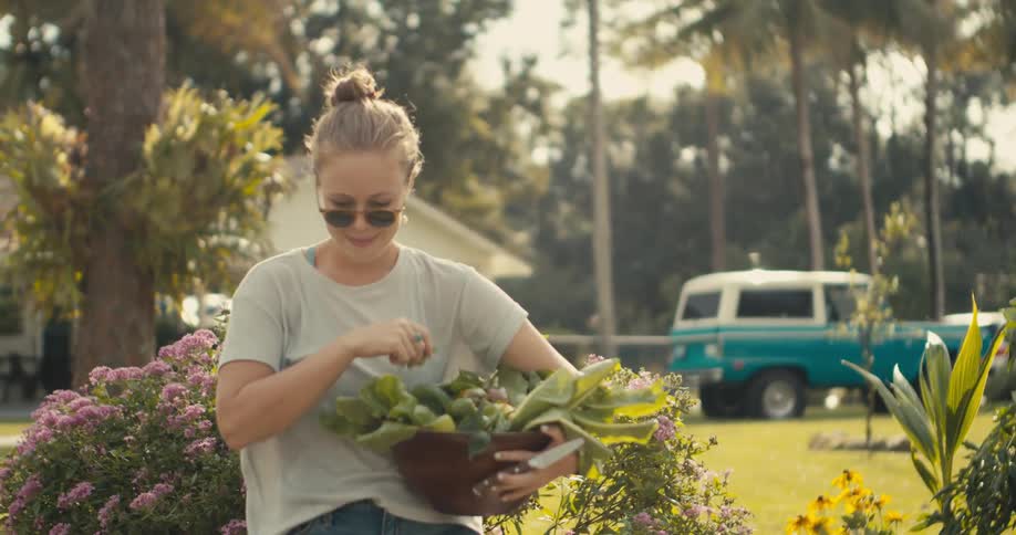 A woman picks lettuce in her garden