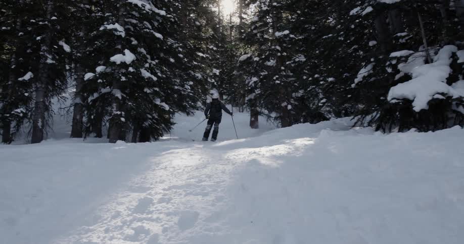 Man skiing down a snowy slope surrounded by pine trees at sunset