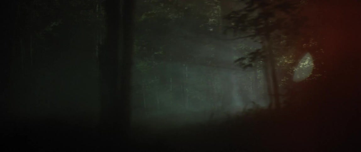 A forest is dark and foggy at night