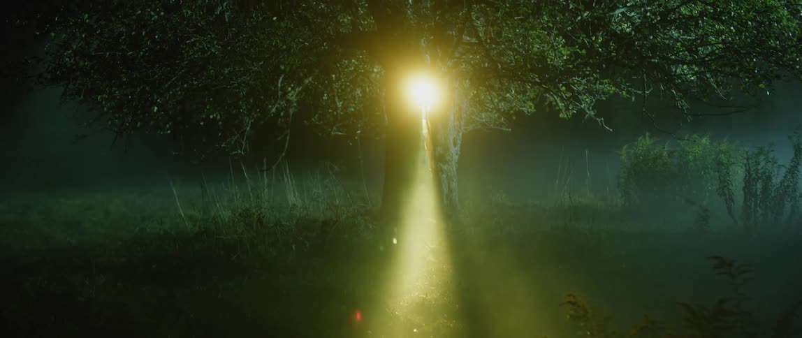 A green field leads to a tree with a single light on it at night