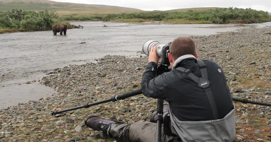 A man photographs a bear standing in a shallow river