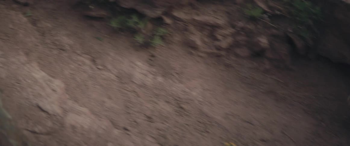 Stone rolls down hill