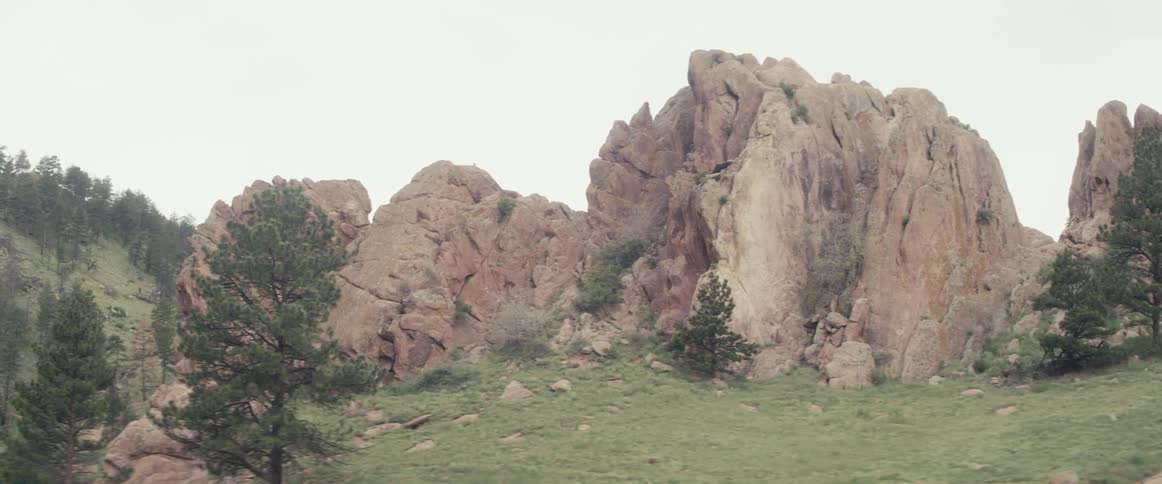 A rock formation with trees around it