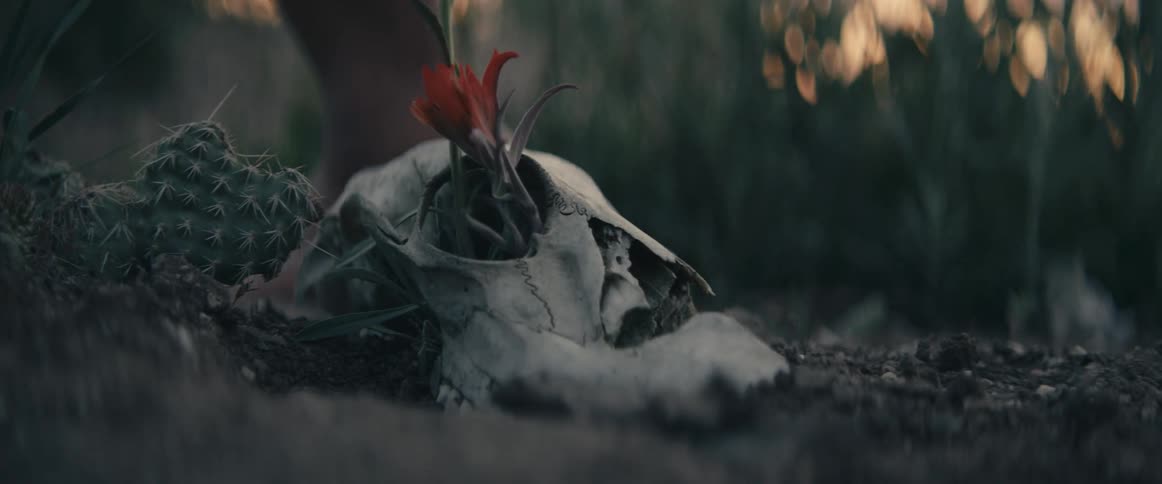 A person walking outdoors next to a plant