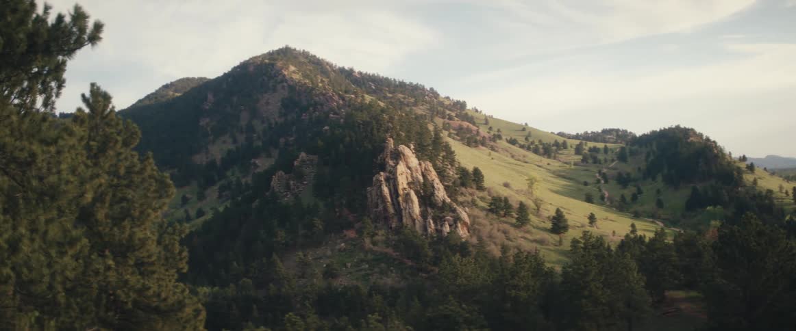 Trees grow on the sides and peak of a mountain