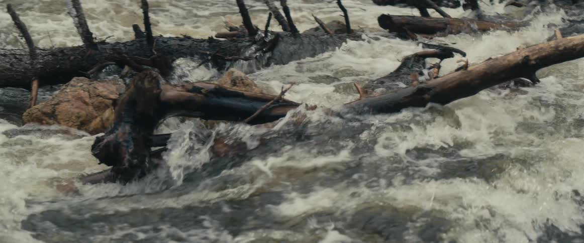 Water flows rapidly down the stream around a piece of driftwood