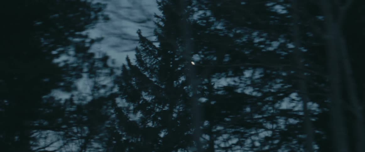 The moon is showing in the sky by the forest