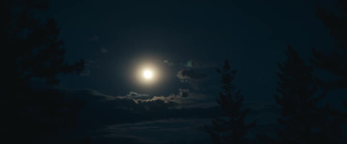A full moon shines in the night sky over a woodland