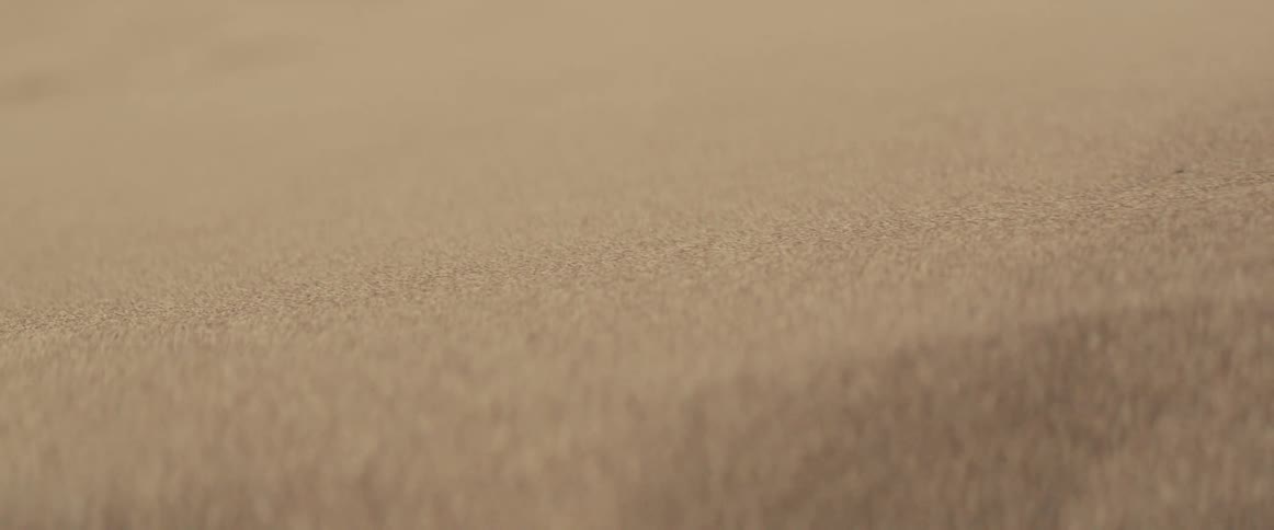 Wind blows sand in a desert