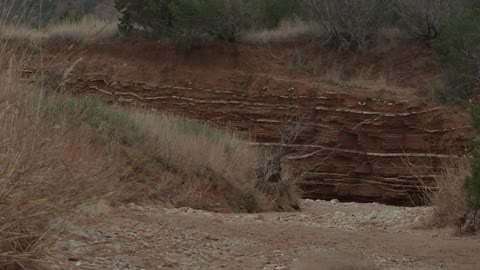 A footage of cliff at desert area