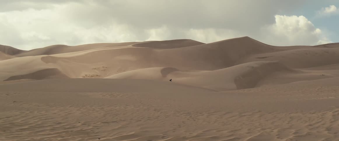 A bird flies across the desert dunes under a cloudy sky