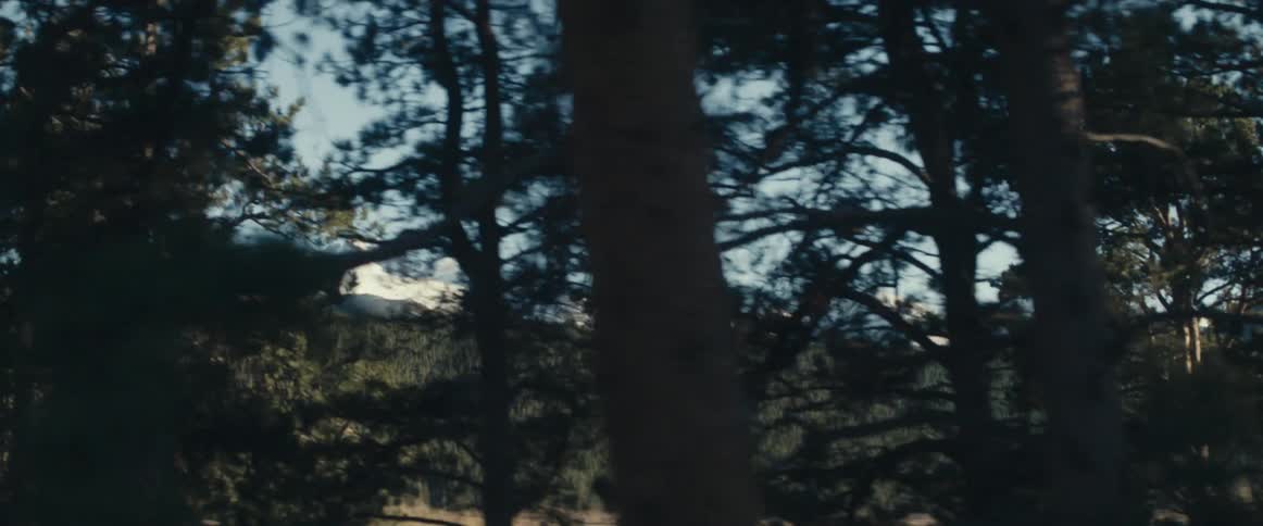 Snow covered mountains are visible through conifer trees