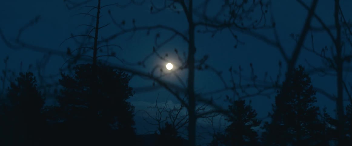 The full moon is in the sky