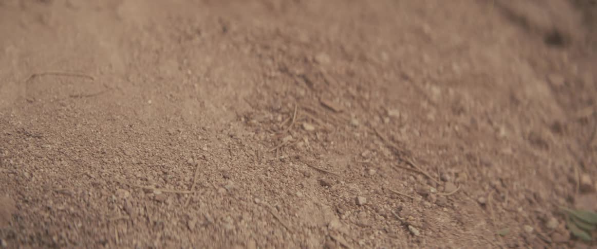 Dirt and rocks are falling down the side of a mountain
