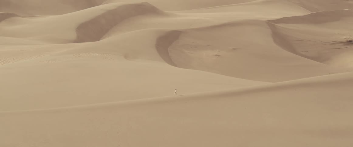 A person is walking through a dessert