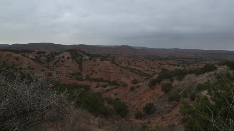 A lone desert