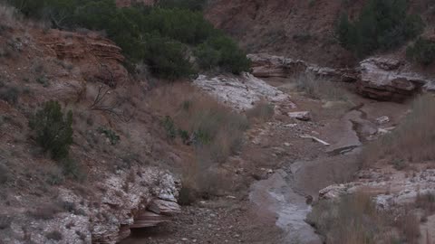 A stream is mostly dried up in the desert