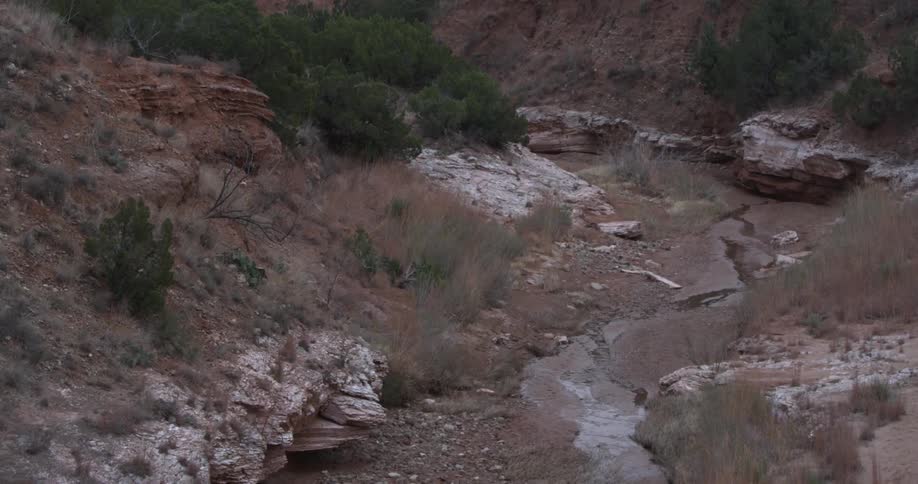 A stream is mostly dried up in the desert