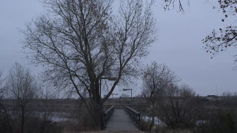 A bridge over a lake