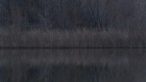 A body of water sits undisturbed