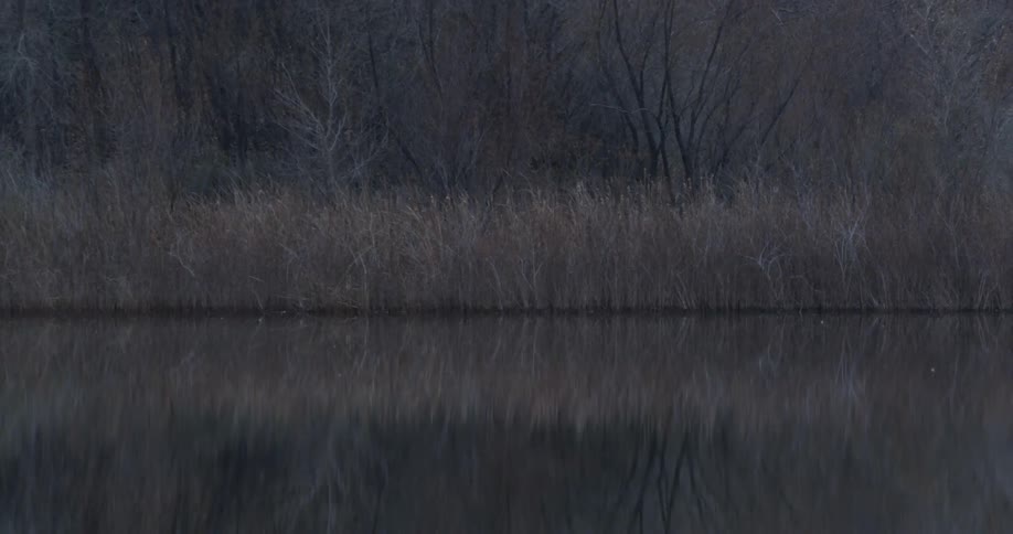 A body of water sits undisturbed