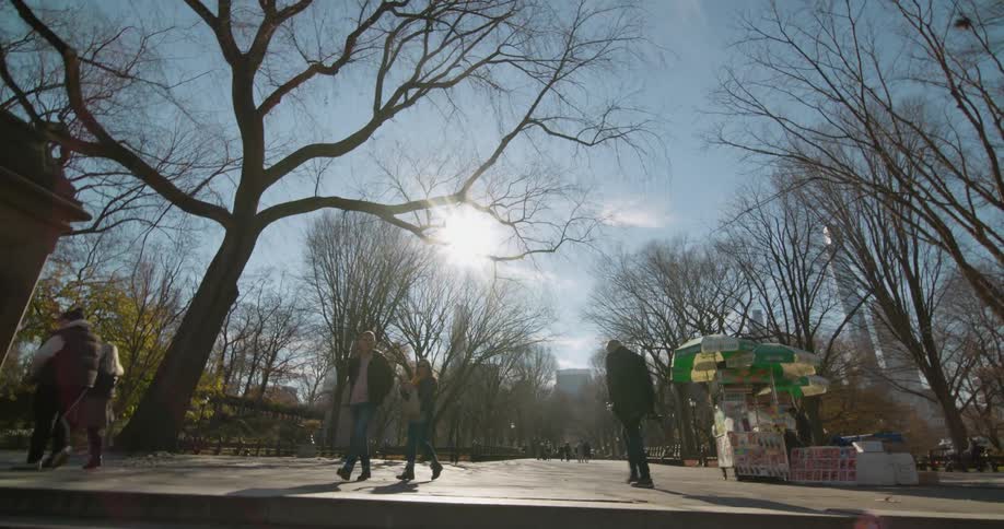 Walking up the steps leading to the city public park with trees and wide walkways on a bright day