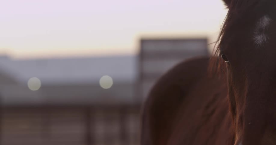 A person watching traffic