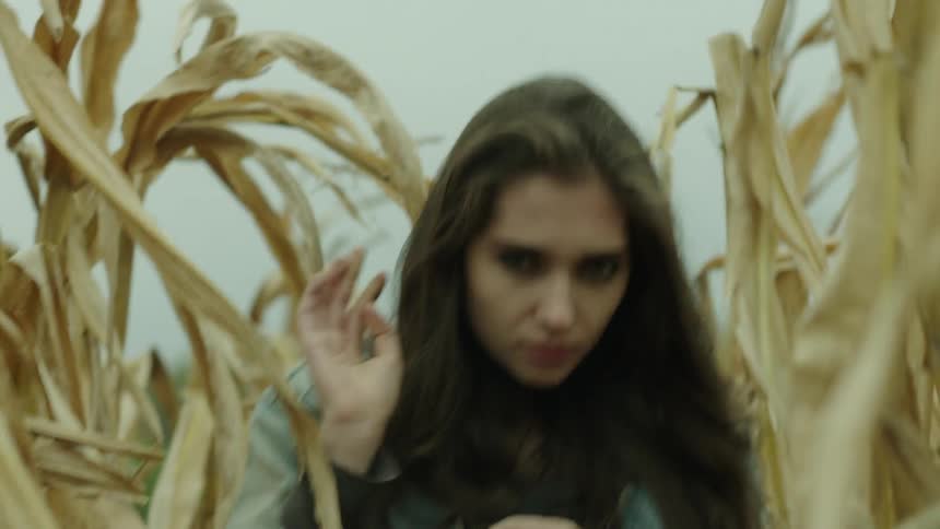 A woman walks through a field of dead corn
