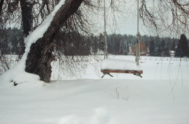 A tree swing covered by snow in a rural area on a snowy day