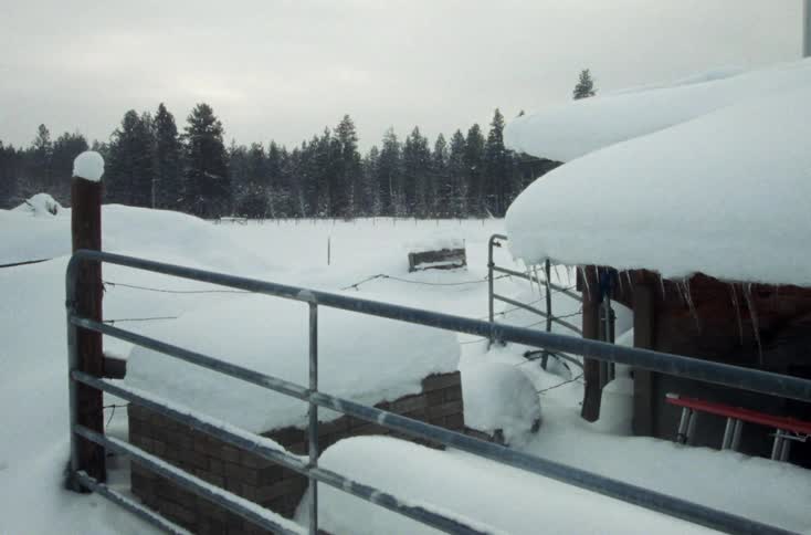 The farm is completely covered with snow