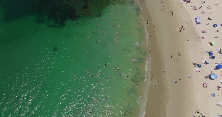 People relax and play at the beach on a sunny day