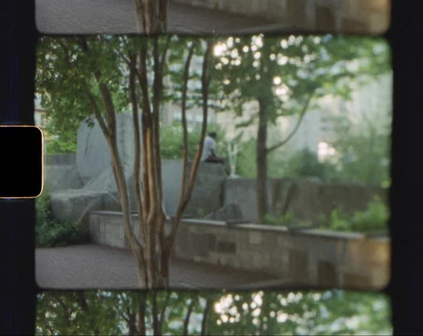 Footage of a person sitting on a ledge in spring is displayed