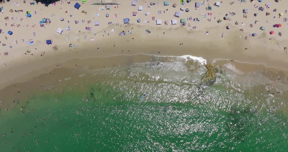 A large group of people play and relax on a beach during the day