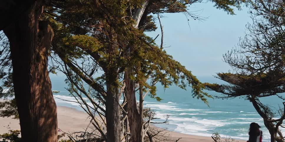 Empty beach with trees and two girls walking by
