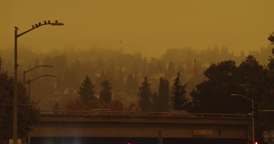 Cars are traveling on a busy highway with trees in the distance under a foggy yellow sky as birds sit on a street light