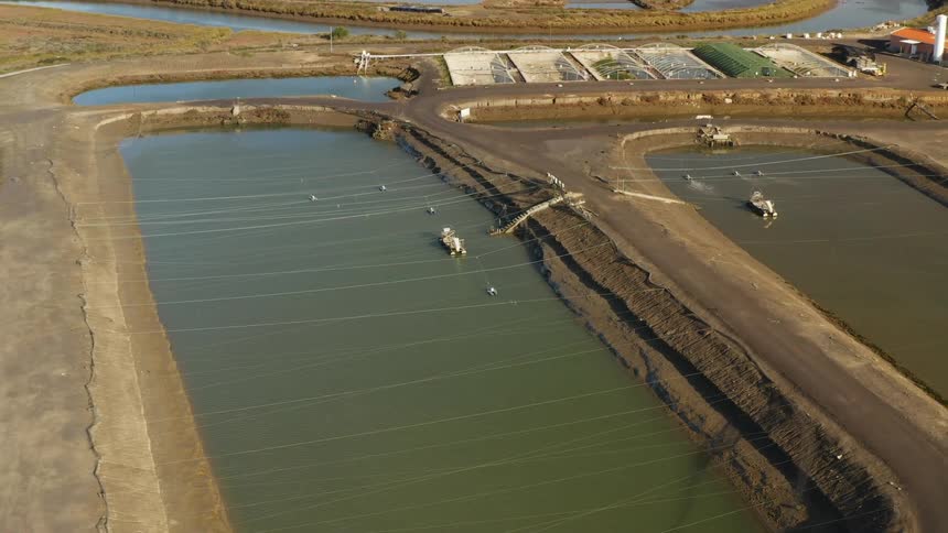A farm has two pools of water