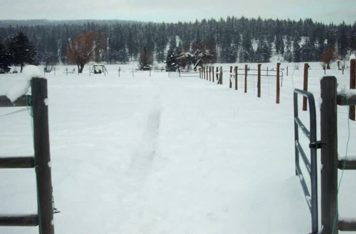 A snowy pasture with a forest behind it