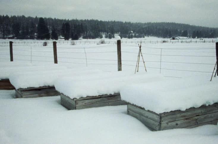 Snow covers planters and pasture bordered by conifer forest