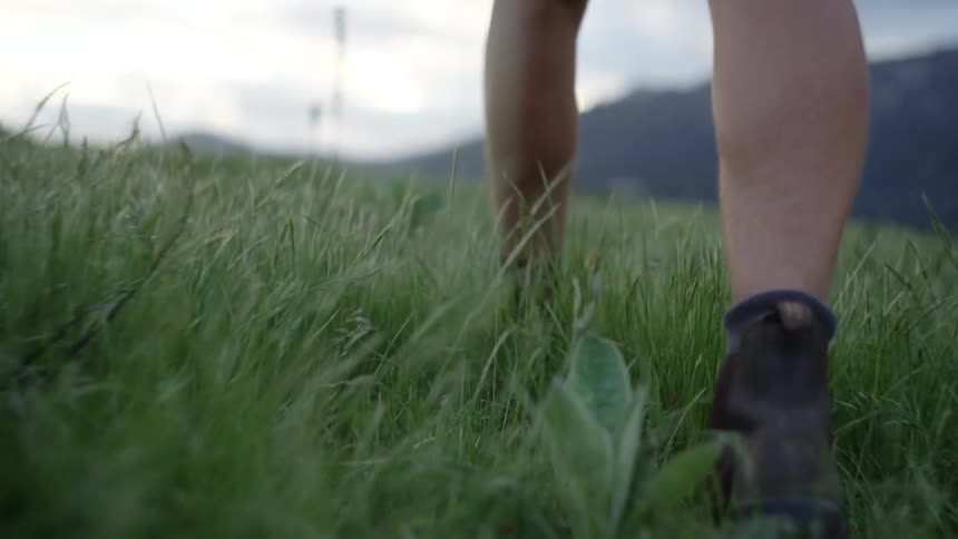 A person is hiking in the grass