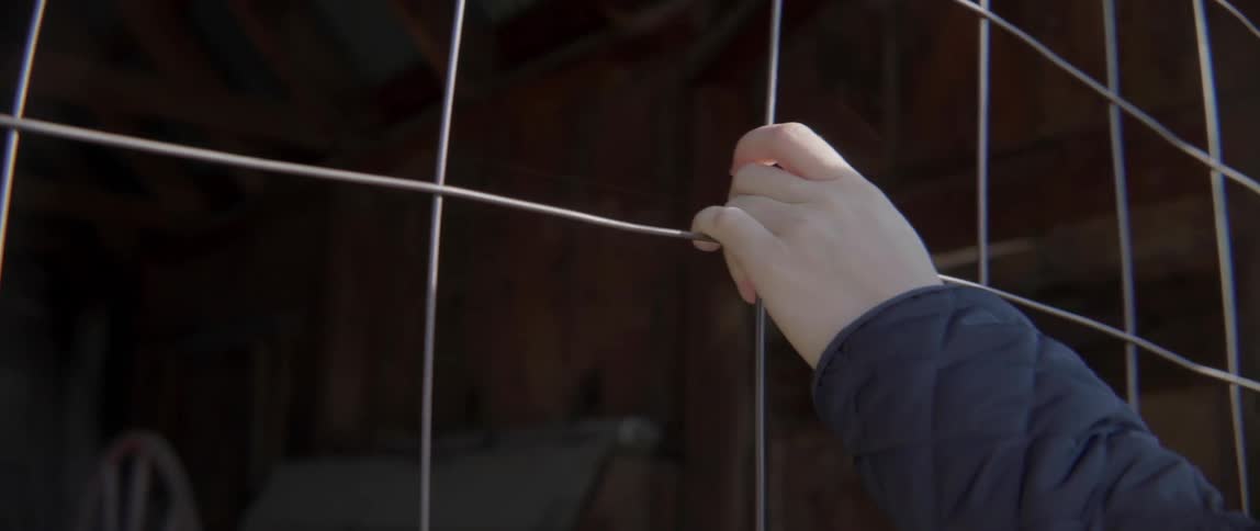 Hand Gripping a Wire Fence With Warm Light and Quiet Reflective Emotion Nearby.