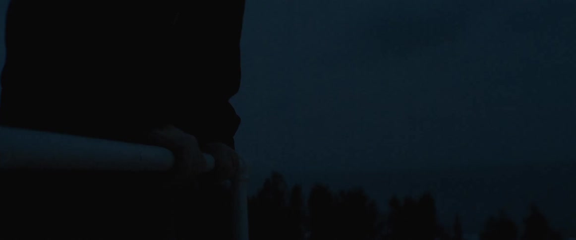 Person leans against rail overlooking forest at night